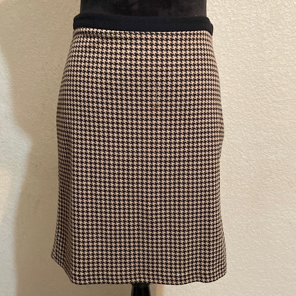 Ann Taylor Skirt